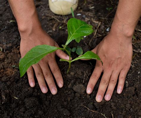 Farming high schools in all regions pushed .